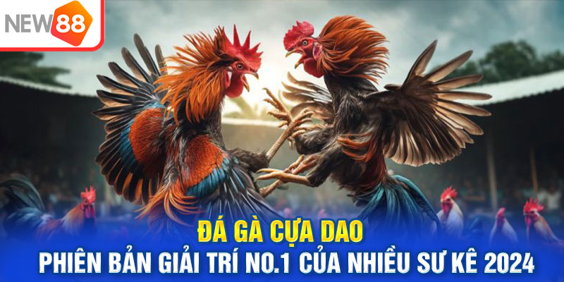 Đá Gà Cựa Dao - Phiên bản Giải Trí No.1 Của Nhiều Sư Kê