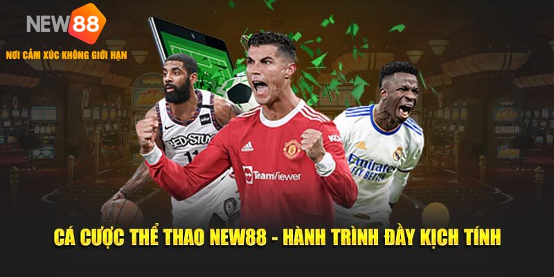 Cá Cược Thể Thao NEW88 - Hành Trình Đầy Kịch Tính